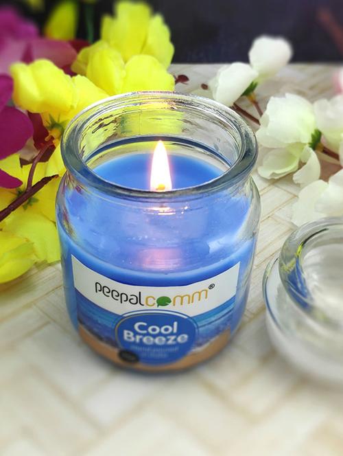 peepalcomm scented wax jar candles set - 20386398 - Standard Image - 0