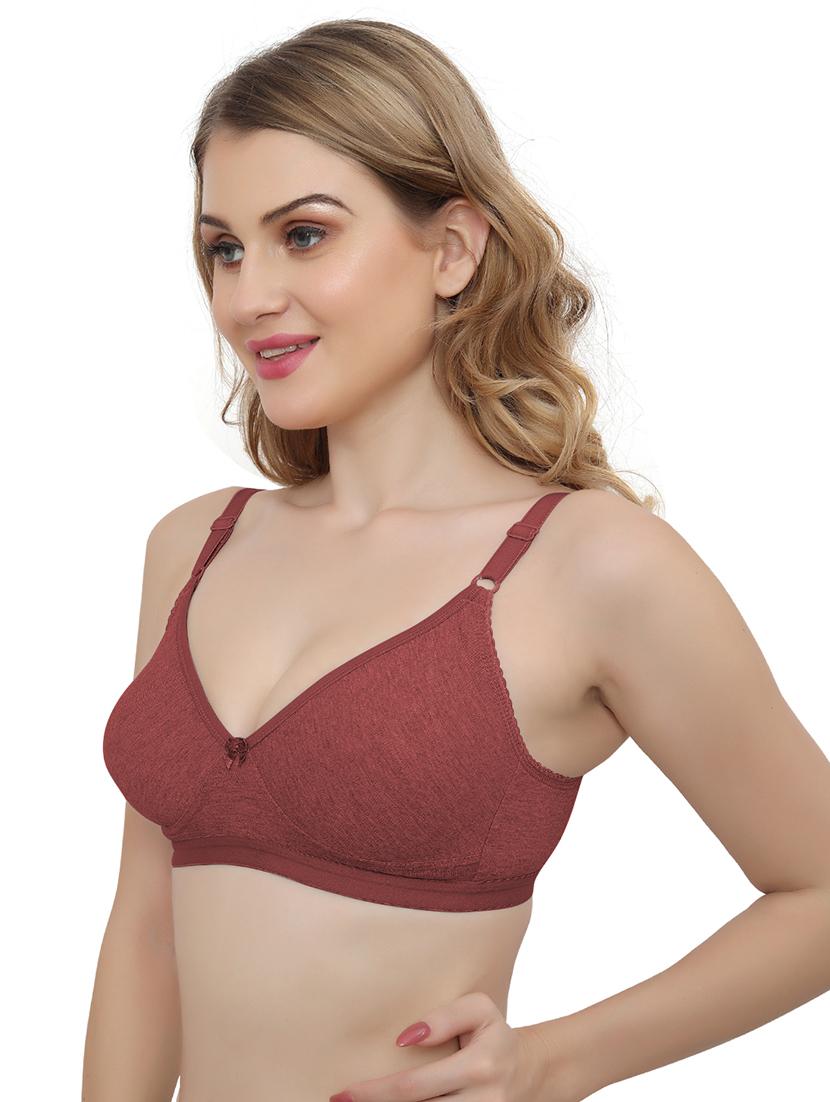 pack of 2 solid t-shirt bra - 20411229 - Standard Image - 2