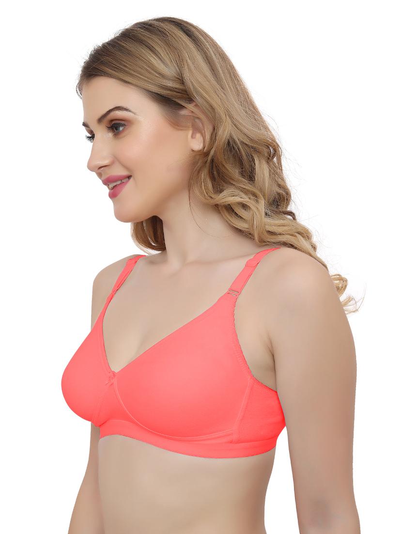 pack of 2 solid t-shirt bra - 20411240 - Standard Image - 2