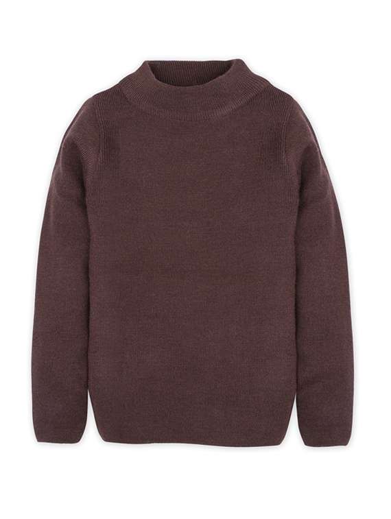 brown solid long sleeves sweater