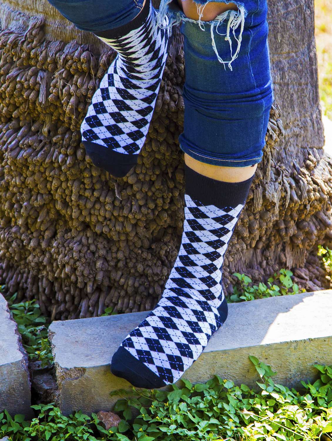 women set of 4 above ankle length socks - 20498119 - Standard Image - 2