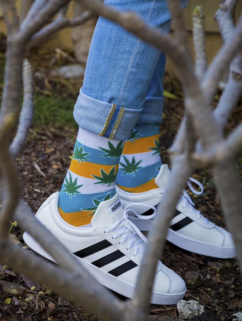 unisex multi colored above ankle length socks combo - 20498132 - Standard Image - 2