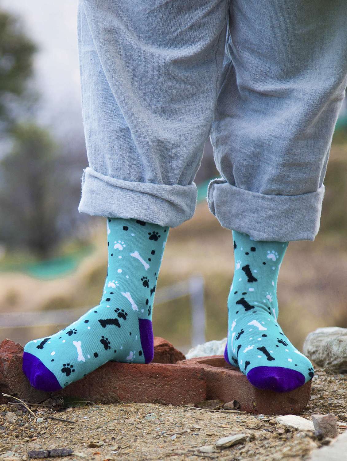 unisex multi colored above ankle length socks combo - 20498153 - Standard Image - 2