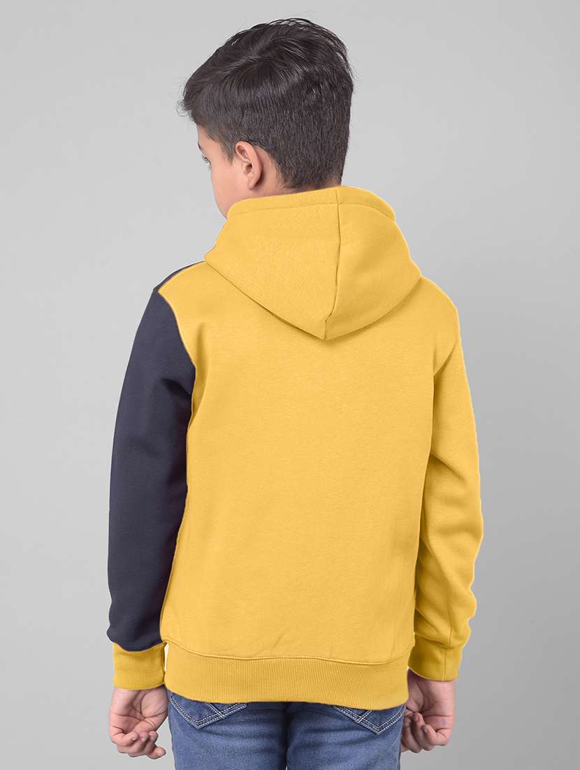 boys full sleeve color block hoooded sweater - 20547074 -  Standard Image - 2