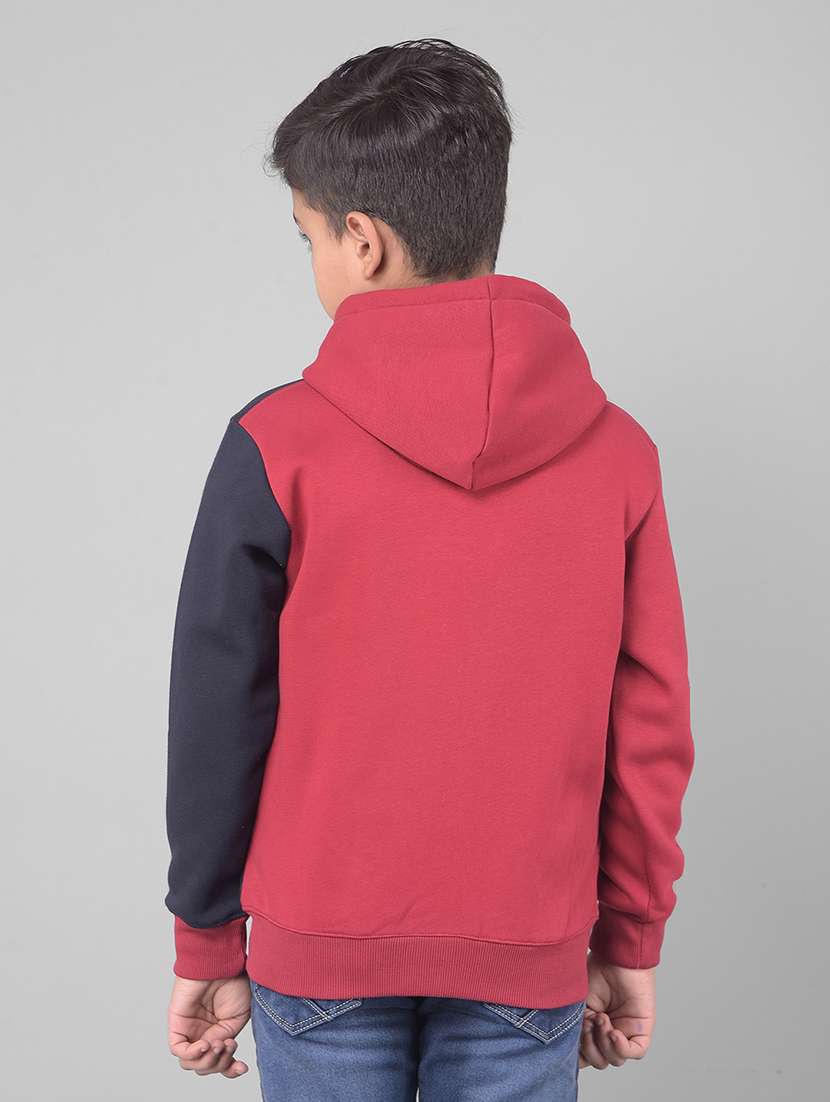 boys full sleeve color block hoooded sweater - 20547075 -  Standard Image - 2