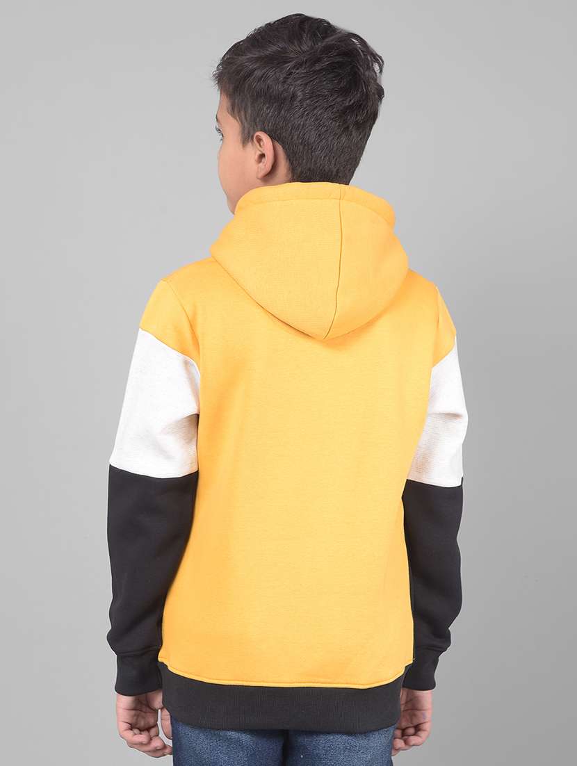 boys color block graphic printed hooded sweatshirt - 20547086 -  Standard Image - 2