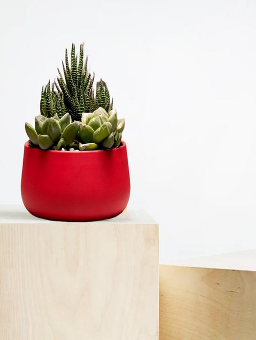 metal home decor multipurpose pot - 21017881 -  Standard Image - 0