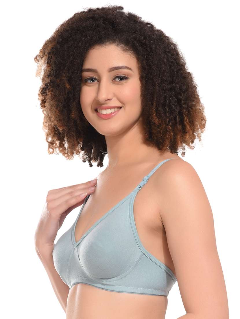 pack of 2 t-shirt bras - 21034479 -  Standard Image - 2
