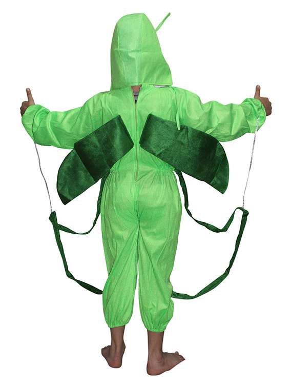 green polyester costume - 21048842 -  Standard Image - 2