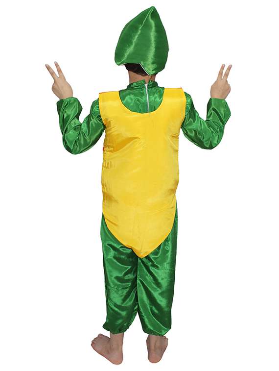 kids fancy costume - 21049108 -  Standard Image - 2