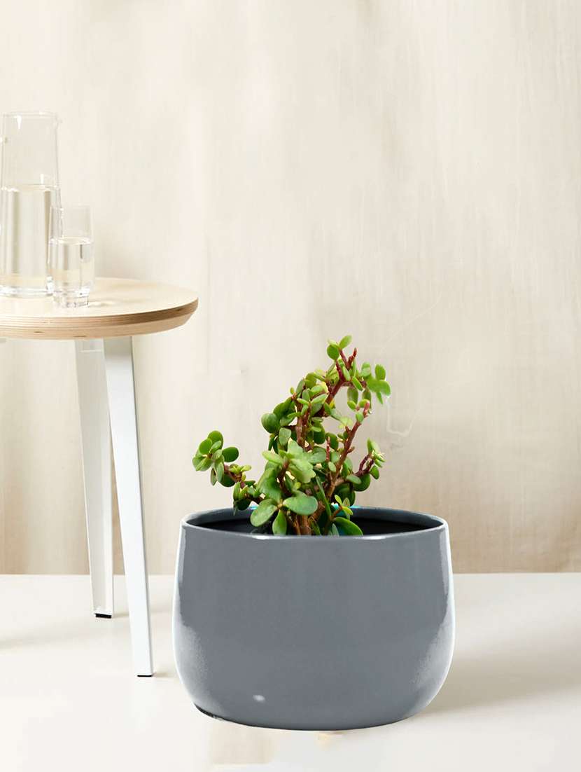 homssy grey plant container set  (metal)
