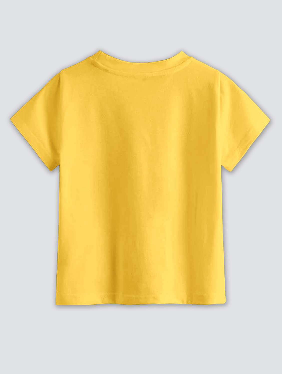 boys pack of 2 round neck t-shirts - 21099247 -  Standard Image - 2