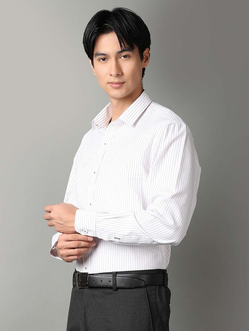 men long sleeves striped formal shirt - 21290324 -  Standard Image - 2