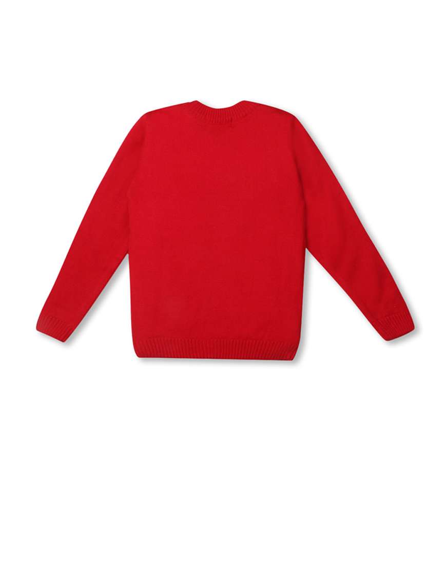 kids long sleeved self design sweater - 21360064 -  Standard Image - 2