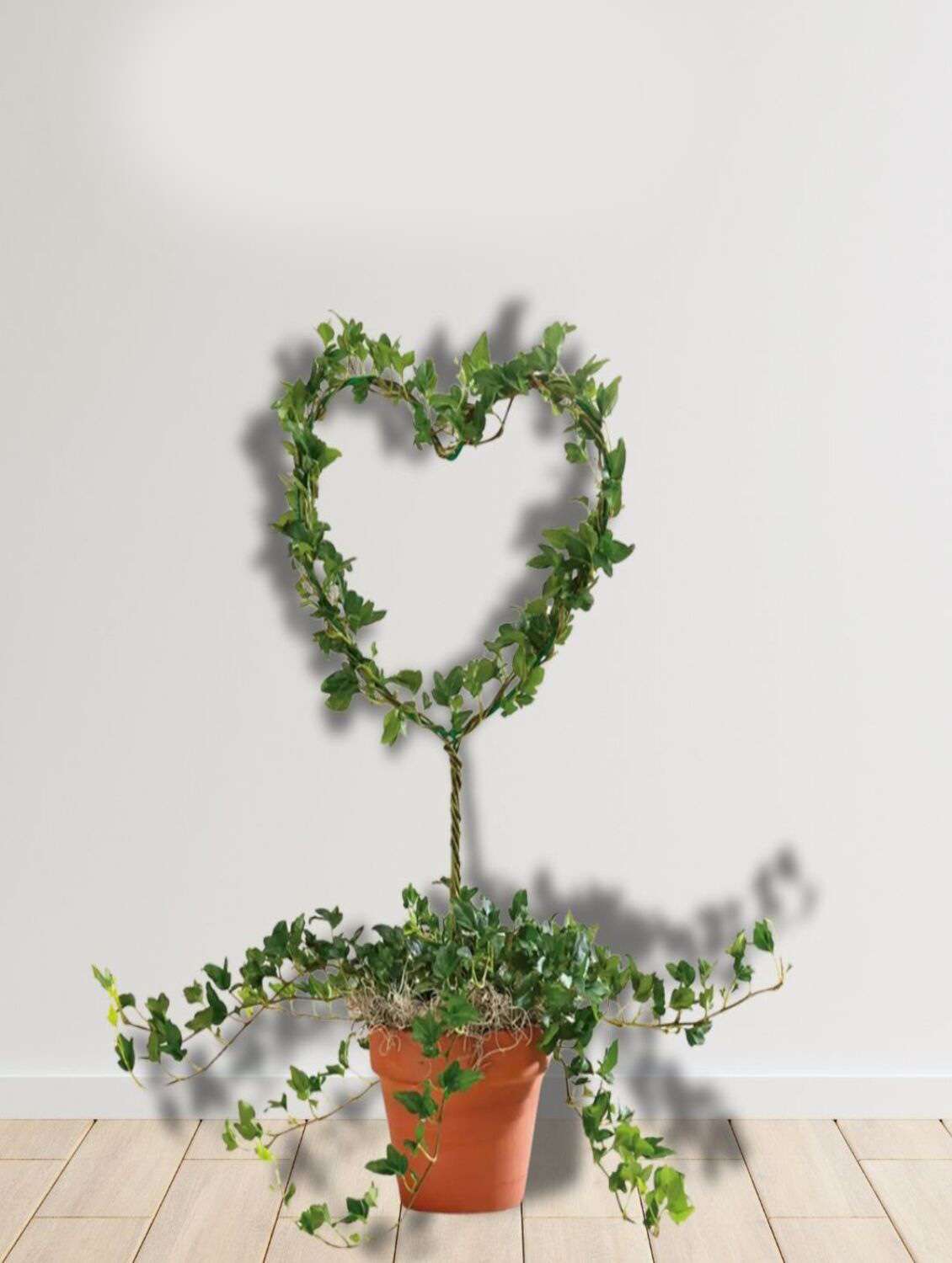 homssy heart shape garden stakes set of 2 - decorative plant supports for garden and outdoor use (21)