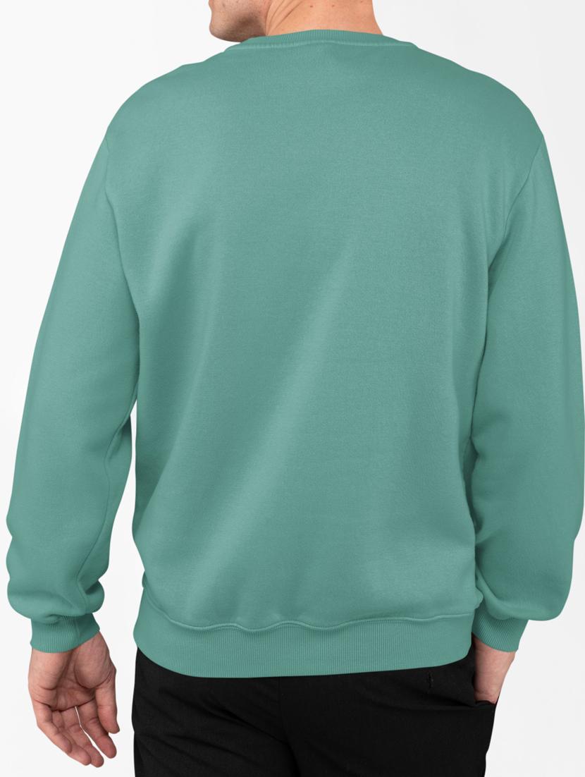 men sea green polycotton chest print sweatshirt - 21505159 - Standard Image - 2