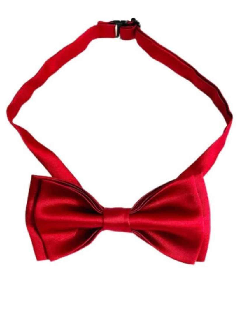 men solid set of 2 tie - 21511120 -  Standard Image - 2