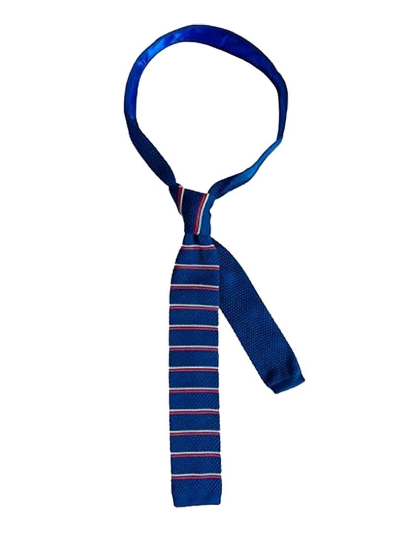 men blue polyester tie