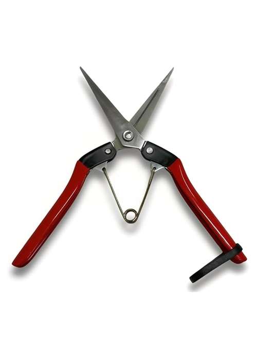 micro-tip pruning shears, hand pruner snips - 21518983 -  Standard Image - 0