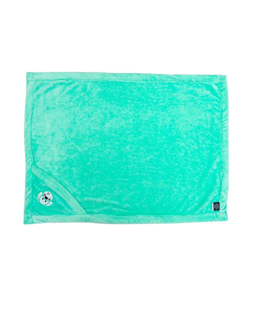 newborn baby swaddle blanket - 21543594 -  Standard Image - 2