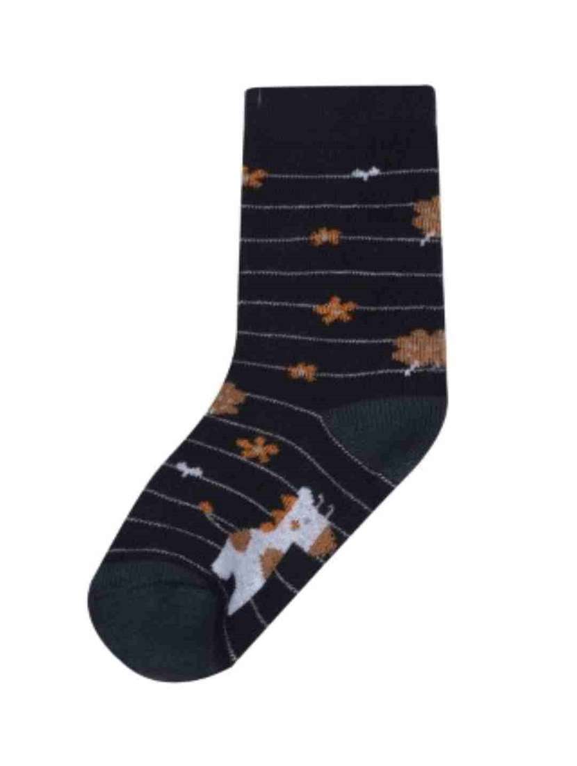 boys printed ankle length socks combo - 21588848 -  Standard Image - 2