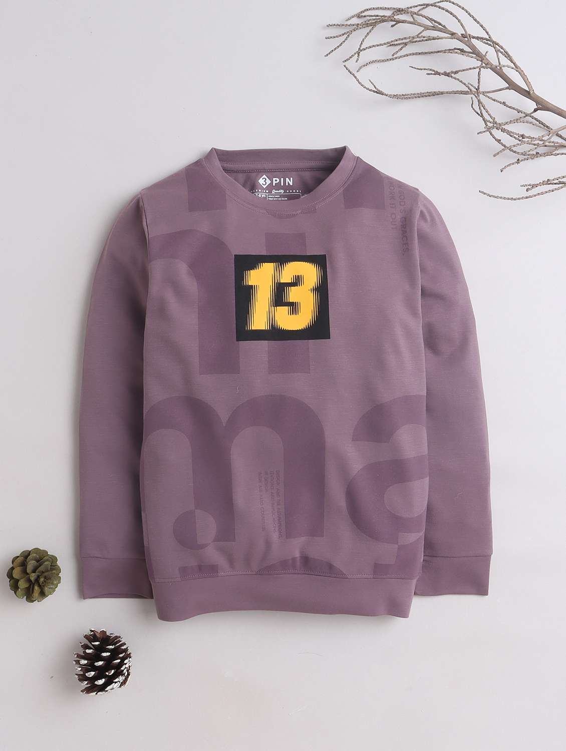 boys round neck front printed sweatshirt