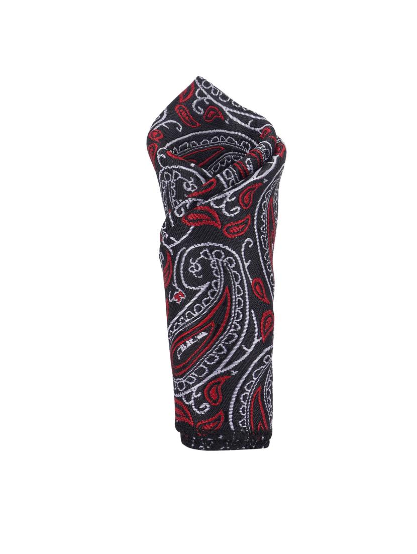 men elegant self-textured tie with pocket  - 21684938 -  Standard Image - 2