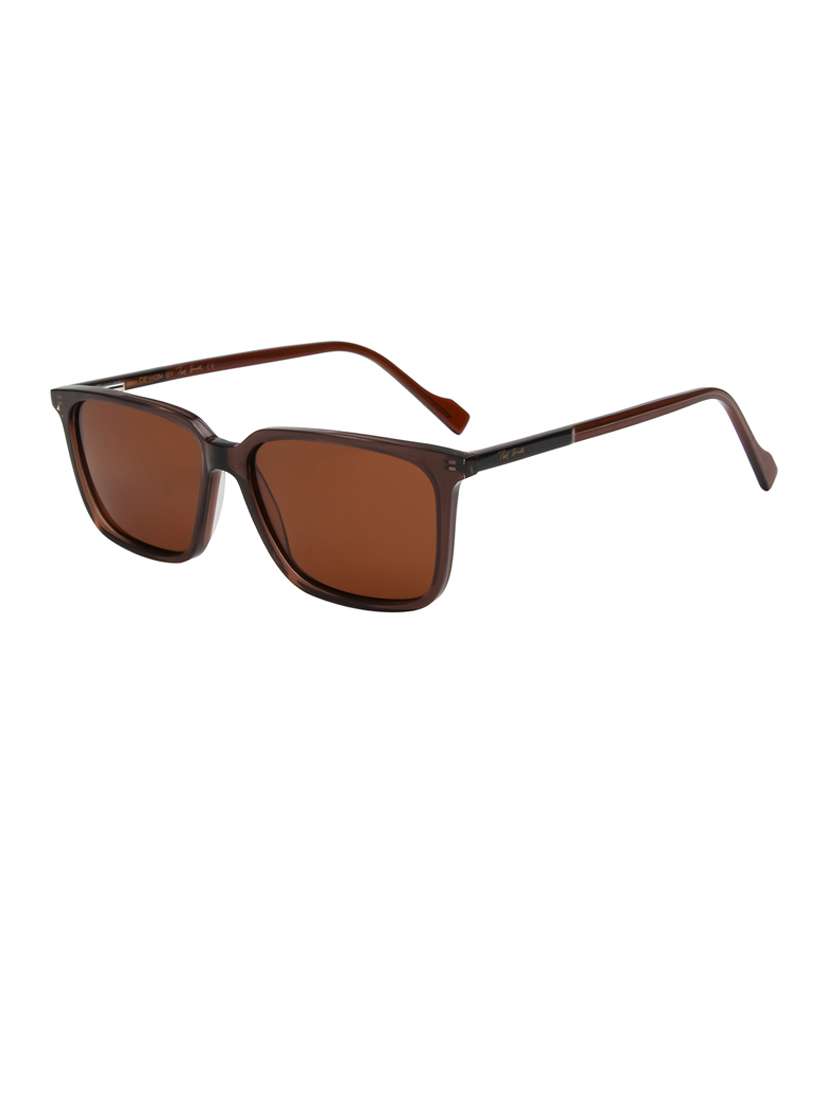 ted-smith unisex brown premium italian acetate sunglasses with  polarized lenses for men & women - 21711854 -  Standard Image - 2