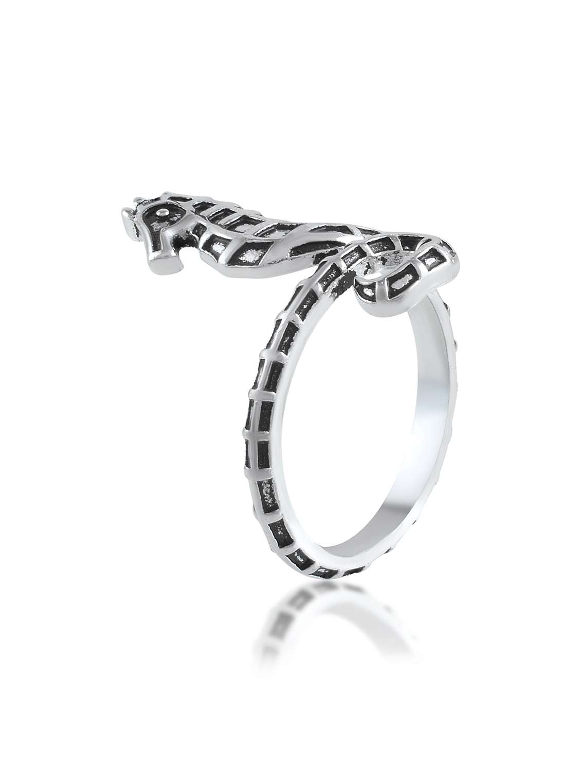 silver brass finger  ring - 21788864 -  Standard Image - 2