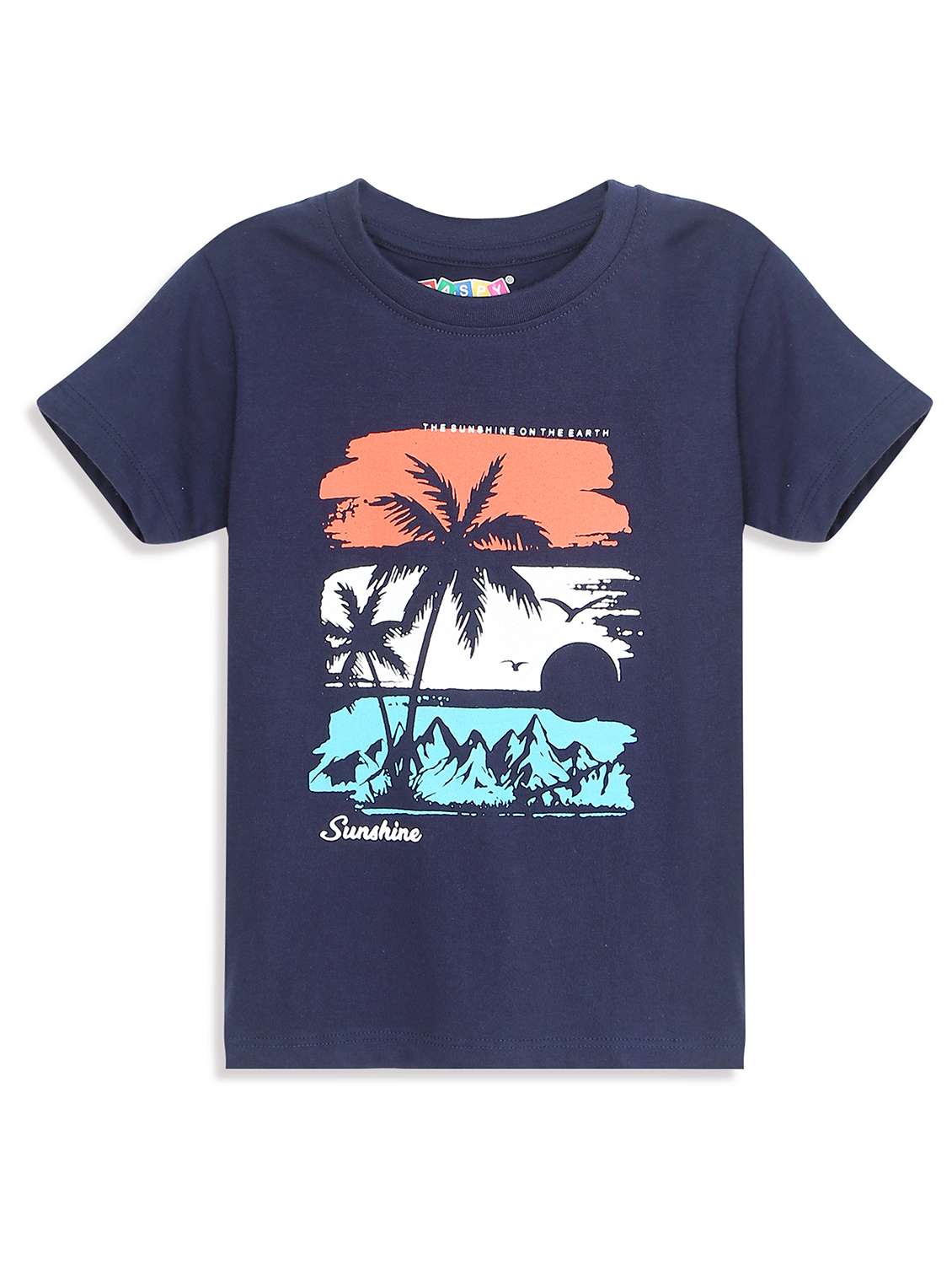 boys pack of 2 round neck t-shirt - 21899365 -  Standard Image - 2