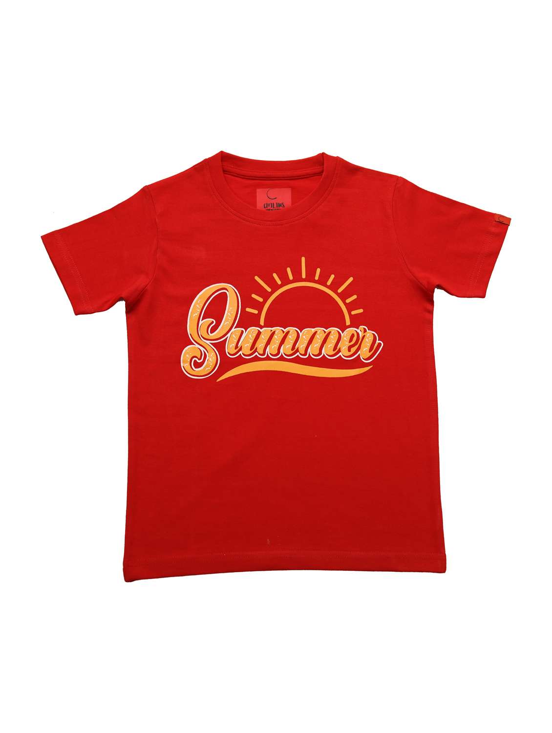 boys pack of 2 printed round neck t-shirt  - 21944777 -  Standard Image - 2