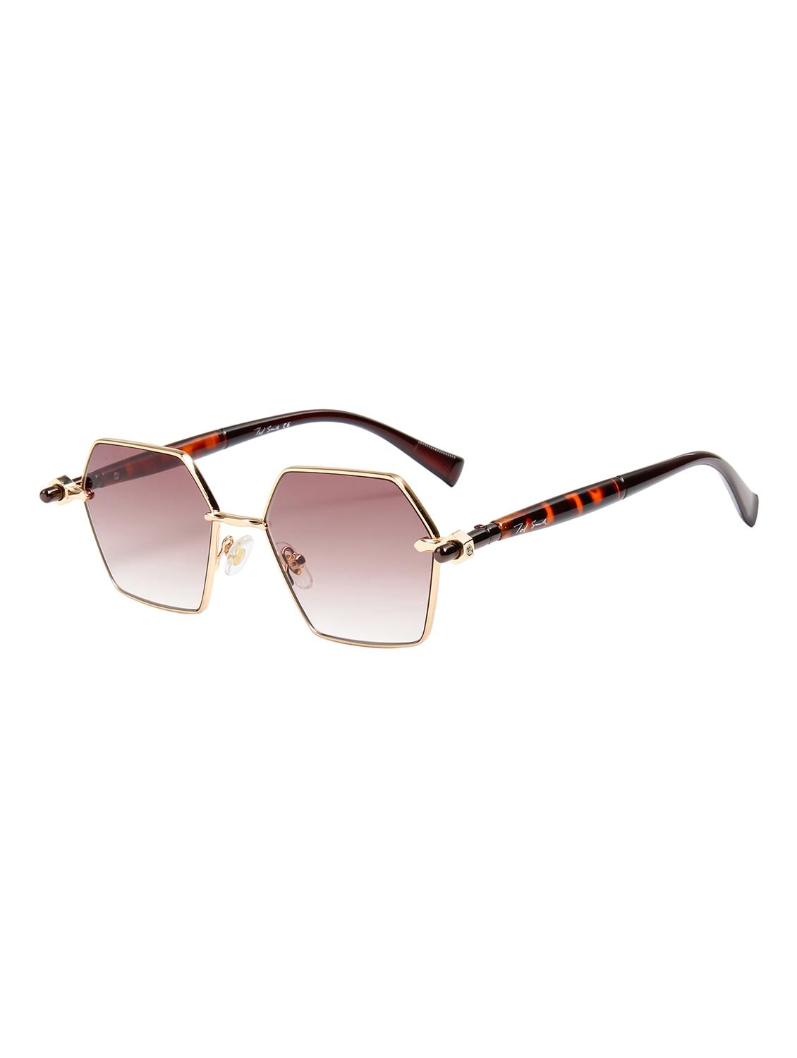 ted smith unisex aesthetic-bold gold-brown hexagon sunglasses with uv protected lens - 21998720 - Standard Image - 2
