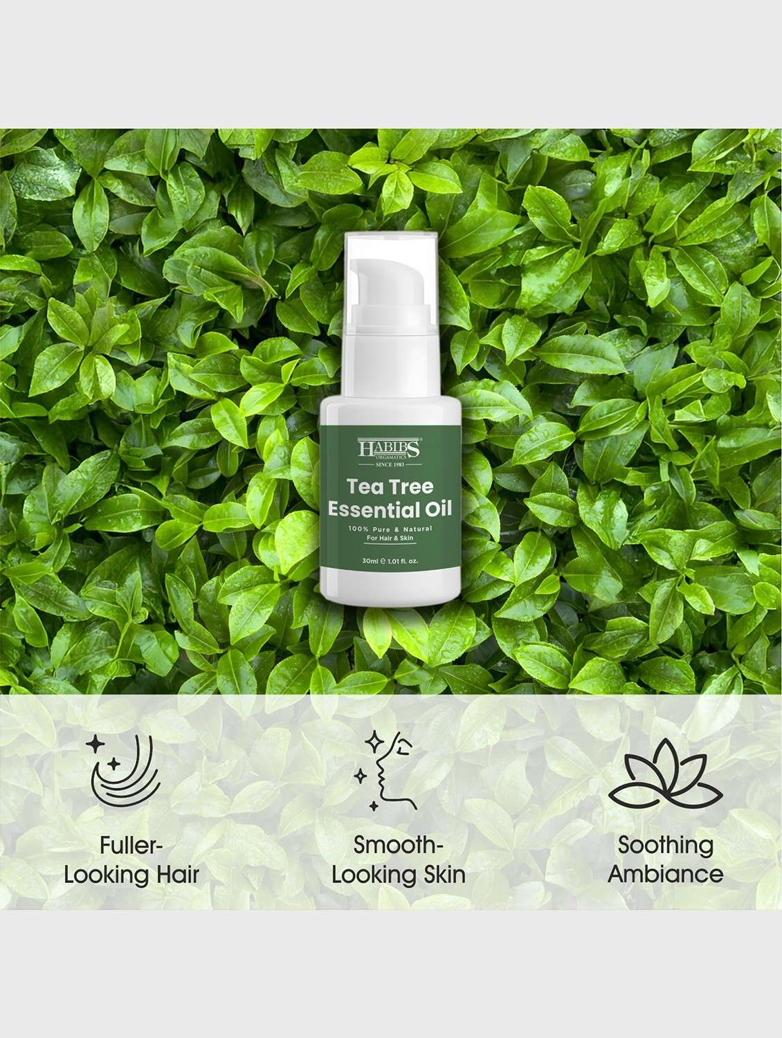 tea tree essential oil for acne, skin & hair 100% undiluted, therapeutic grade 30ml - 22006219 - Standard Image - 7