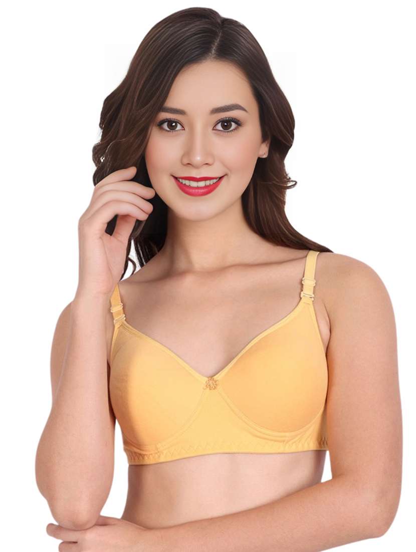 women pack of 2 solid non wired t-shirt bra - 22025304 -  Standard Image - 2