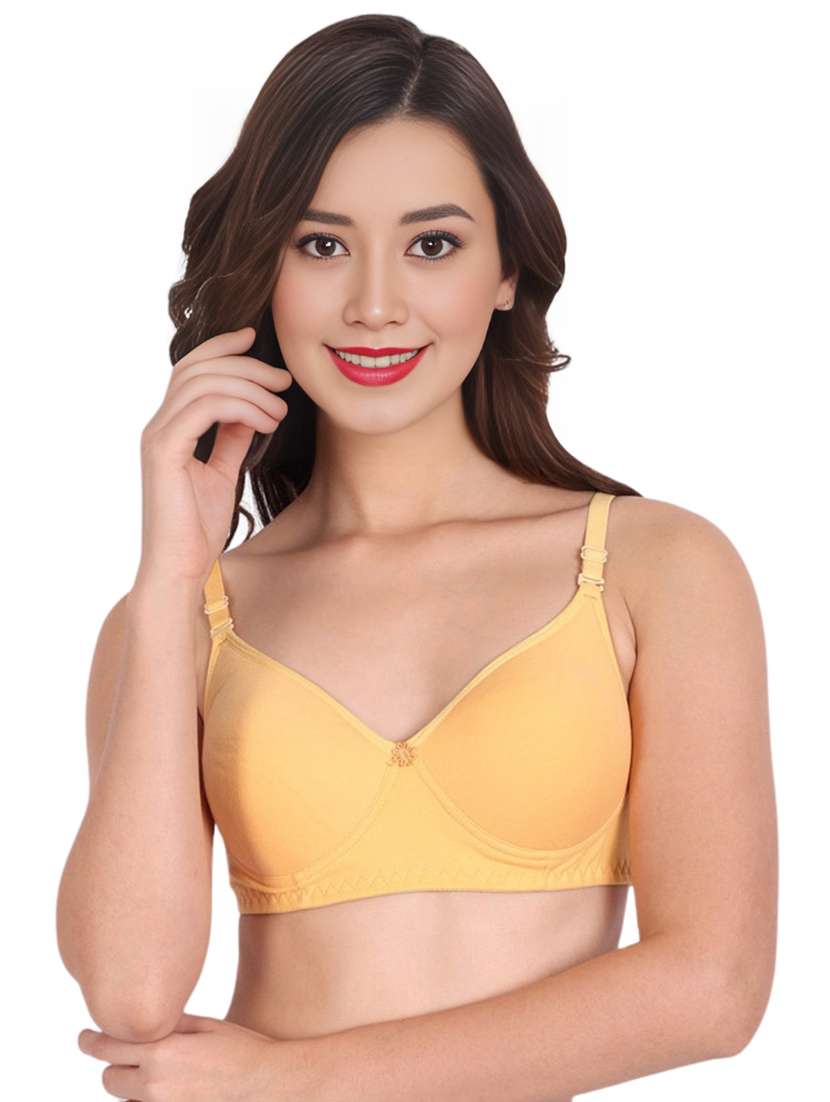women pack of 3 solid lightly padded t-shirt bra - 22025713 -  Standard Image - 2