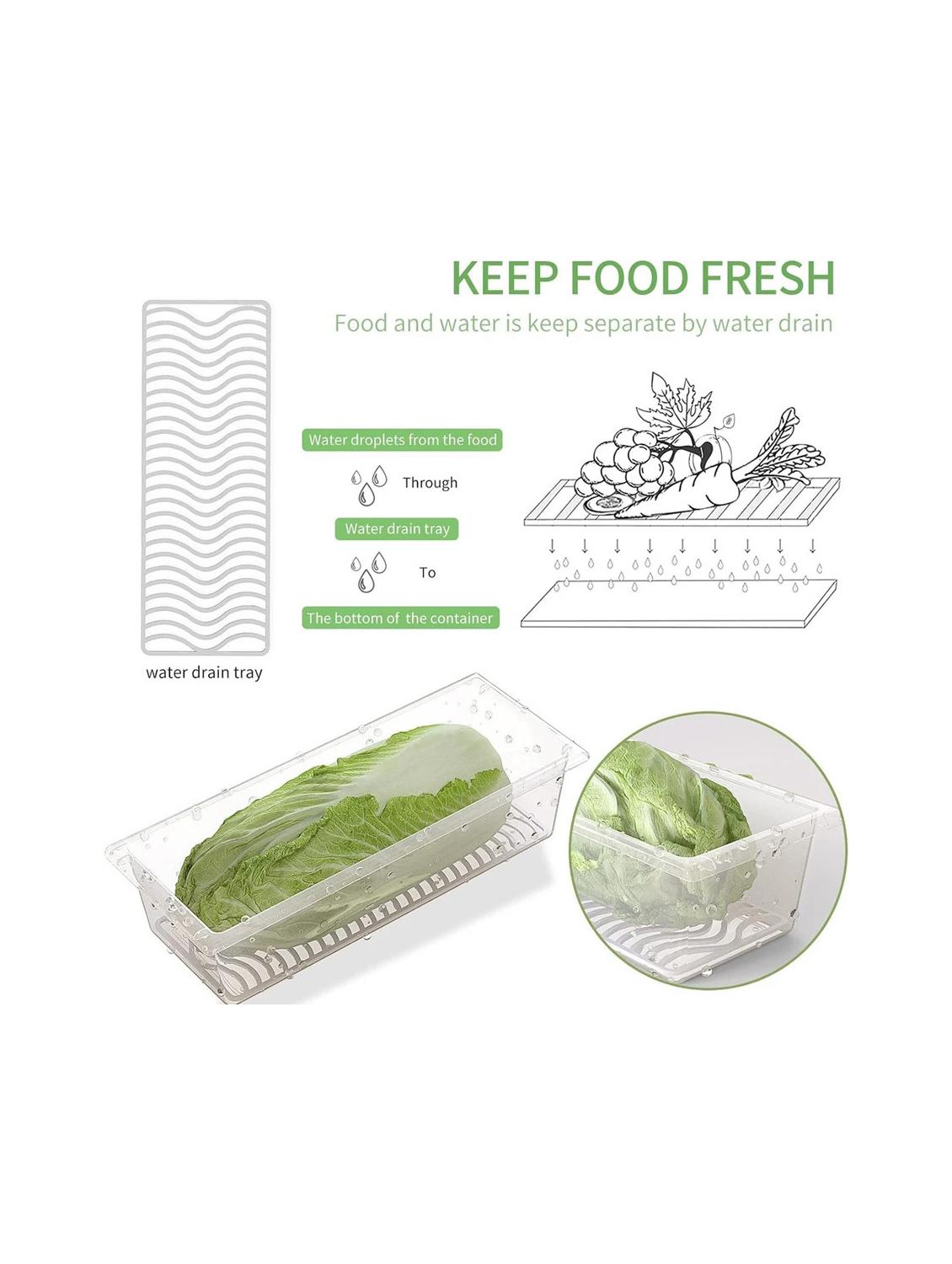 plastic storage container with lid for fridge - 22065818 - Standard Image - 2