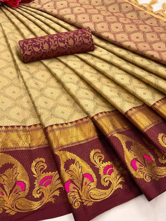 women self design bordered saree with blouse - 22092065 - Standard Image - 2