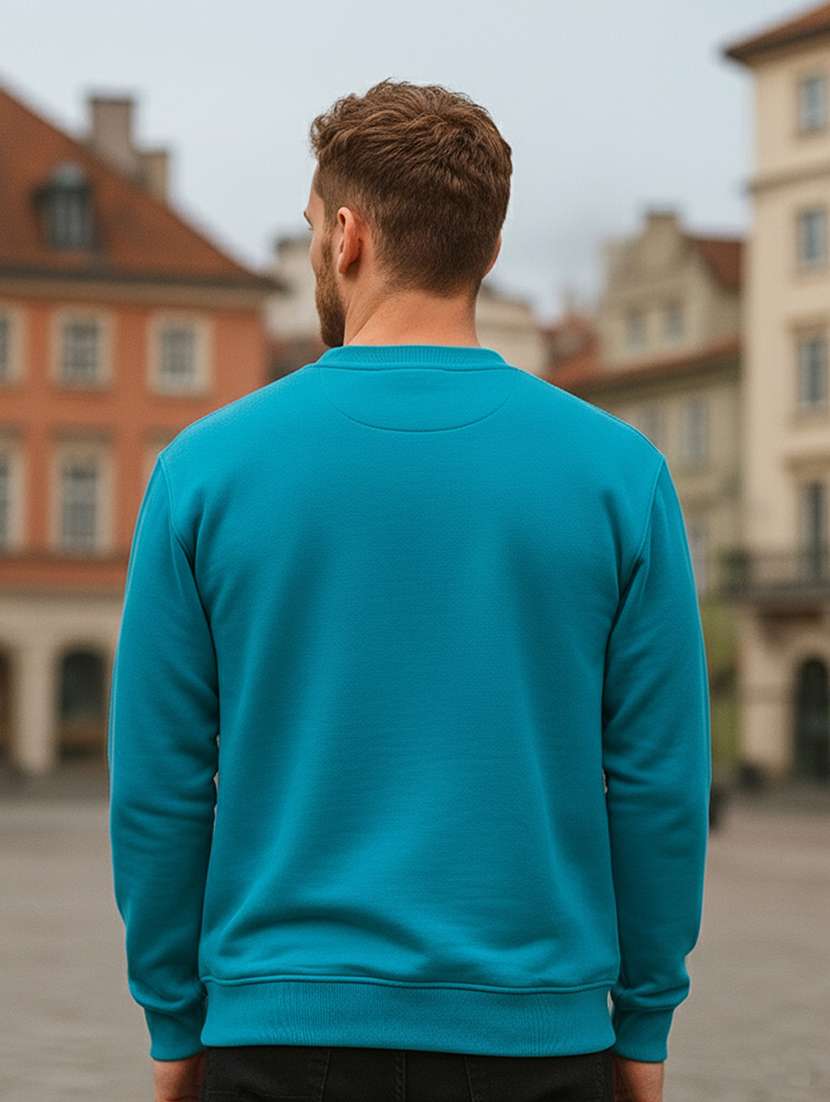 men placement print long sleeve regular fit sweatshirt - 22101713 -  Standard Image - 2