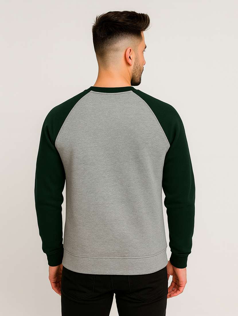 men color block long sleeve regular fit sweatshirt - 22140486 -  Standard Image - 2