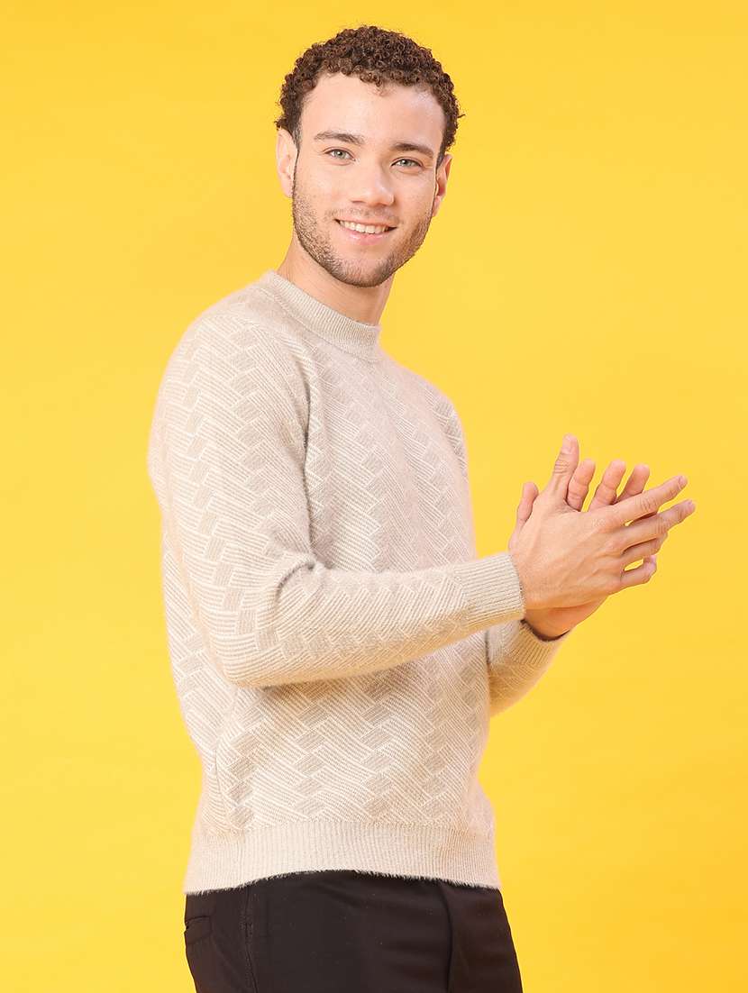 men self design long sleeve regular fit pullover  - 22159978 -  Standard Image - 2