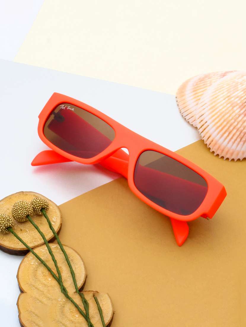 ted smith unisex wayfarer sunglasses i 100% uv protection  i  brown colour lens