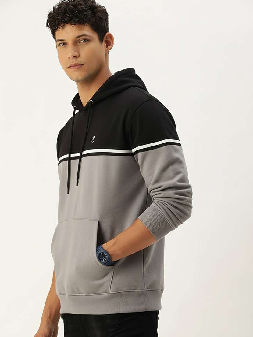 men color block long sleeve regular fit sweatshirt - 22267022 -  Standard Image - 2