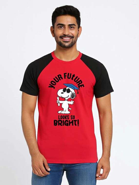 men color block raglan sleeve regular fit t-shirt