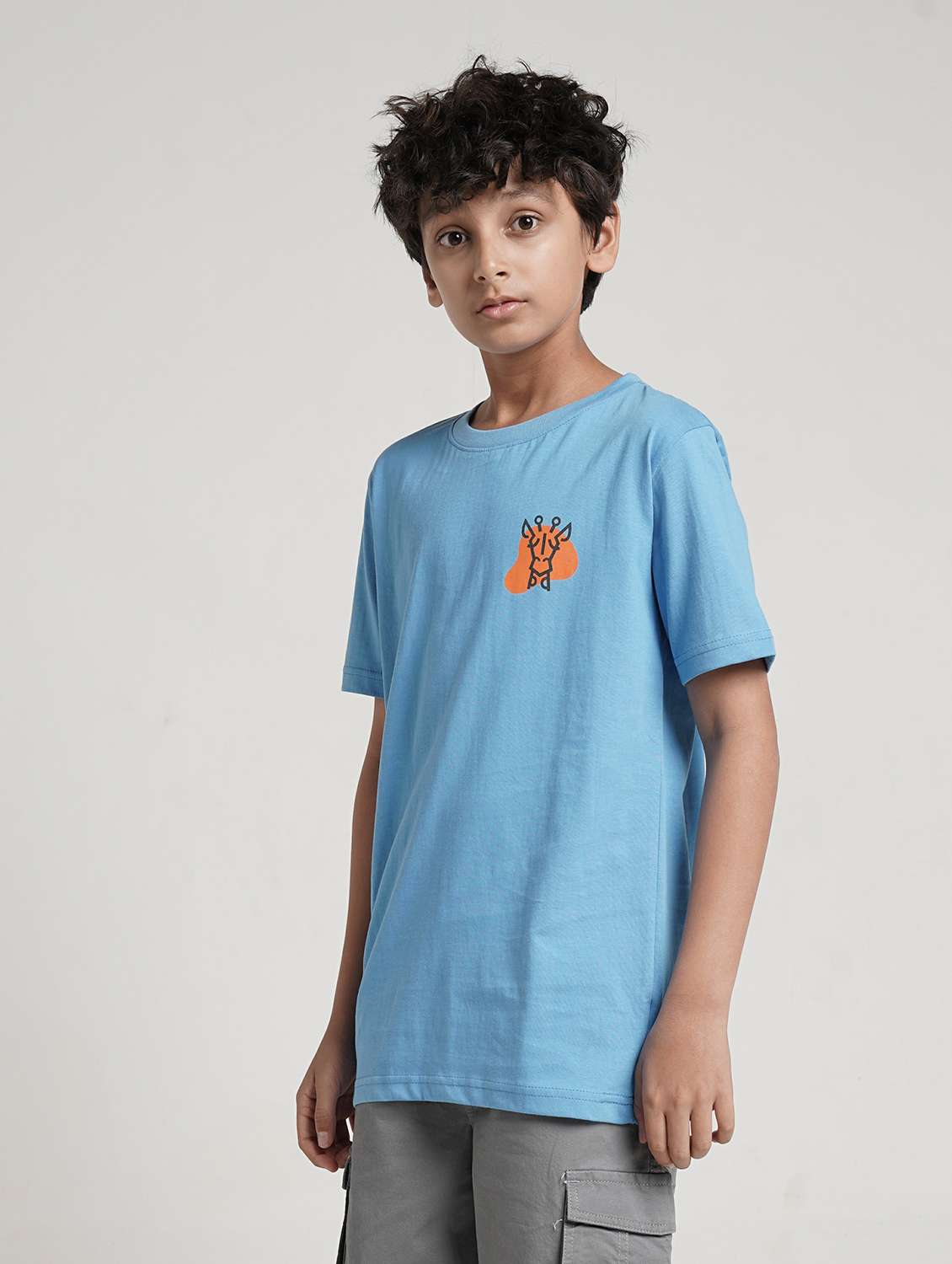 boys printed short sleeve t-shirt - 22293684 -  Standard Image - 2