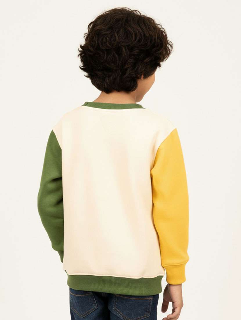 boys color blocked long sleeve sweatshirt - 22307542 -  Standard Image - 2