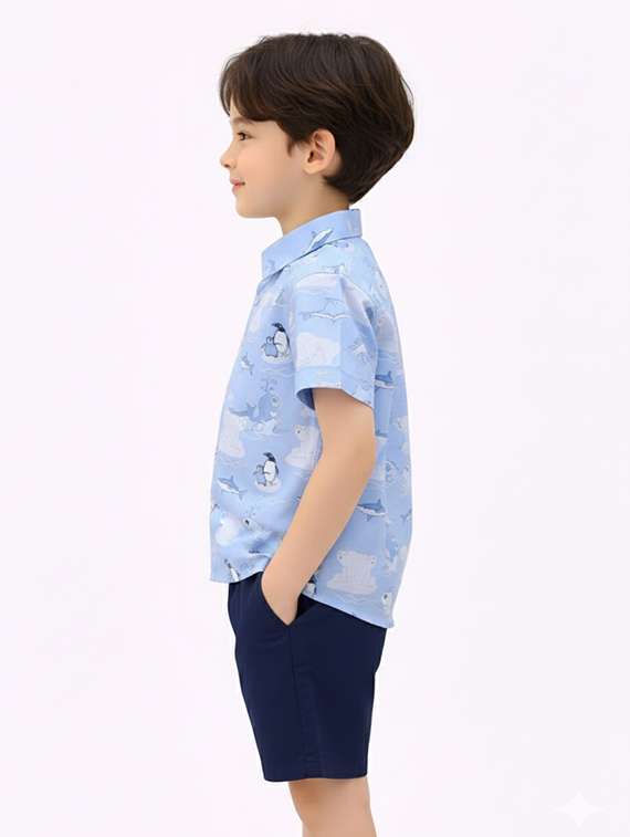 Boys Printed Shirt And Shorts Set - 22345958 -  Standard Image - 2