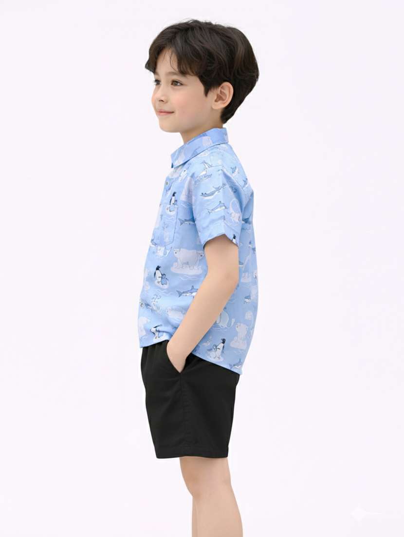 boys printed shirt and short set - 22356586 -  Standard Image - 2