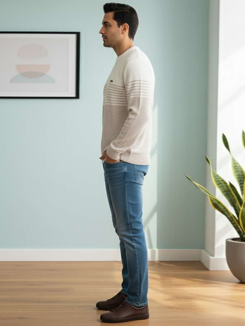 men striped long sleeve regular fit pullover - 22361914 -  Standard Image - 2