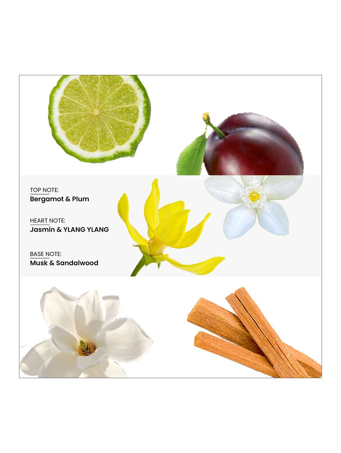 women wottagirl longlasting fragrance  - 22379374 -  Standard Image - 2