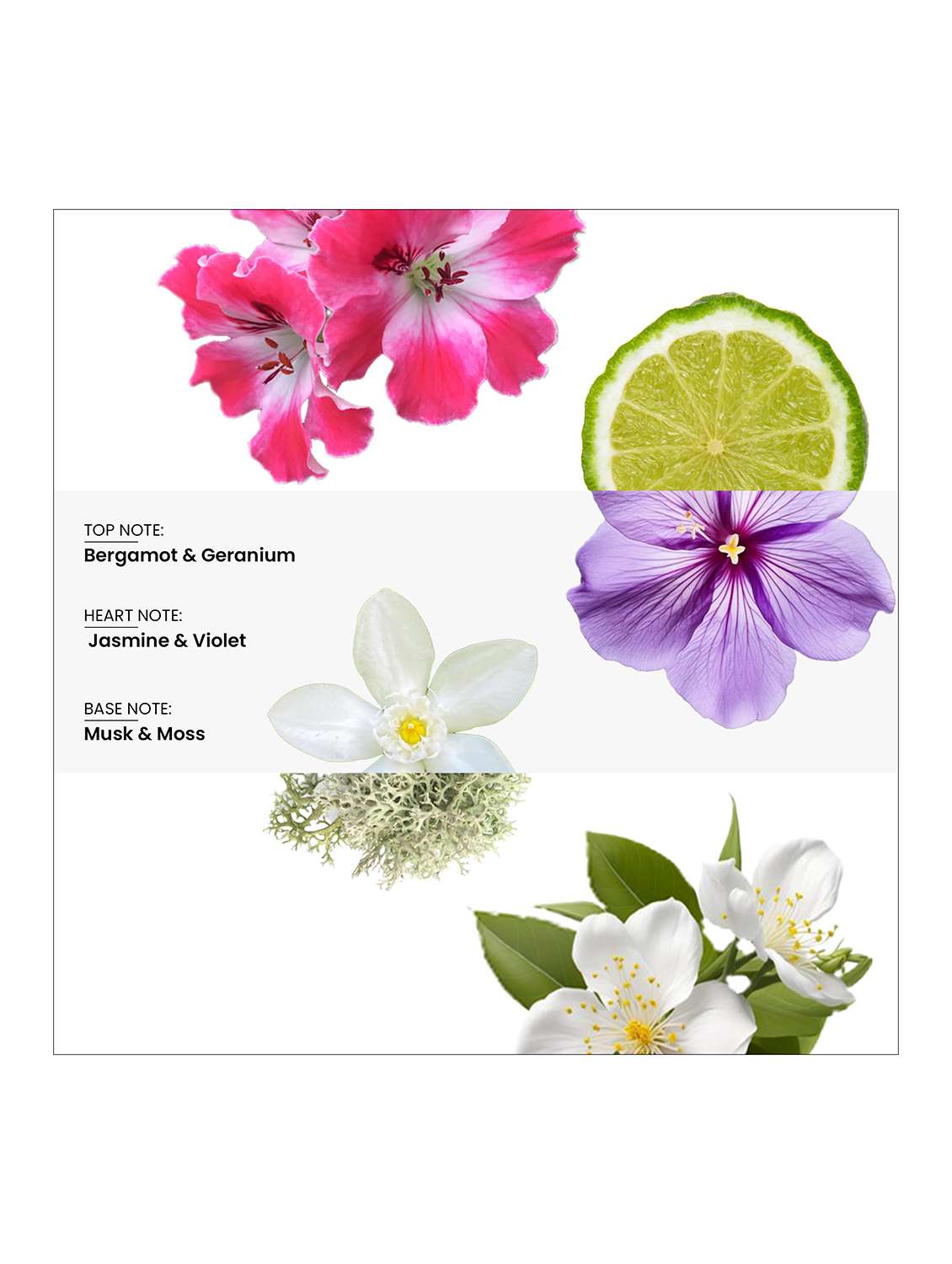 women wottagirl longlasting fragrance perfum - 22379376 -  Standard Image - 2